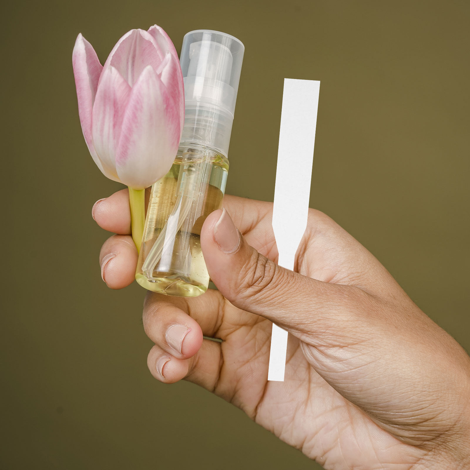 Perfume In Fragrance Shop - 100Pcs Perfume Test Strips Fragrance Tester