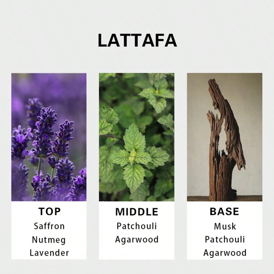 Lattafa Badee Al Oud For Glory - You Perfume Fragrance 评论和价格